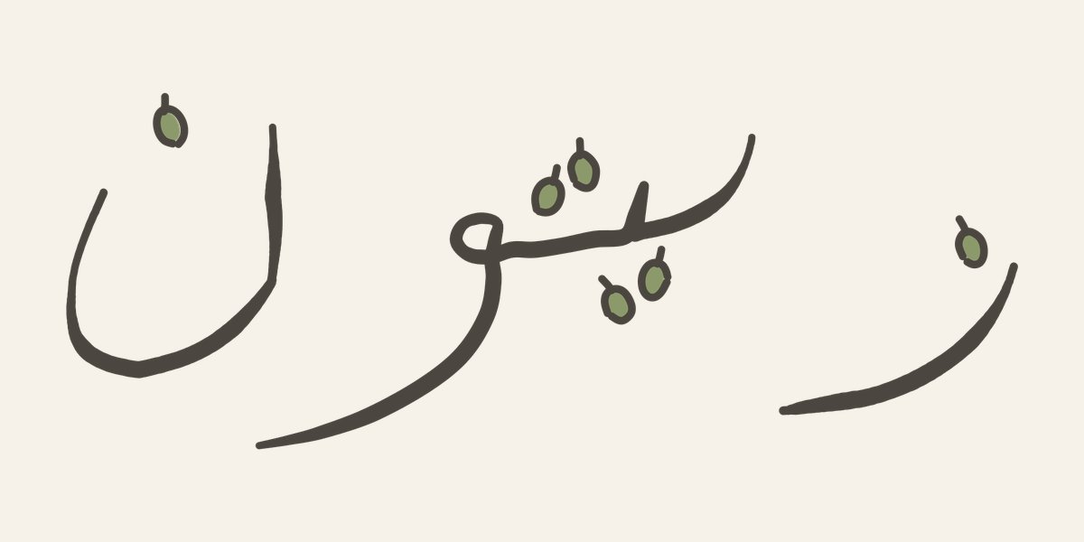 Zaytūn — the word زيتون written by hand with its six dots drawn as six small olives; on the back an olive tree whose roots are drawn longer than its crown, two paper-tape strips, and the line «since 1967»