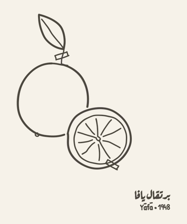 Burtuqāl Yāfā — a whole Shamouti orange with one leaf and a halved orange showing ten segments, drawn in one ink on a herbarium sheet with two paper-tape strips, the words برتقال يافا and the line «Yāfā · 1948»