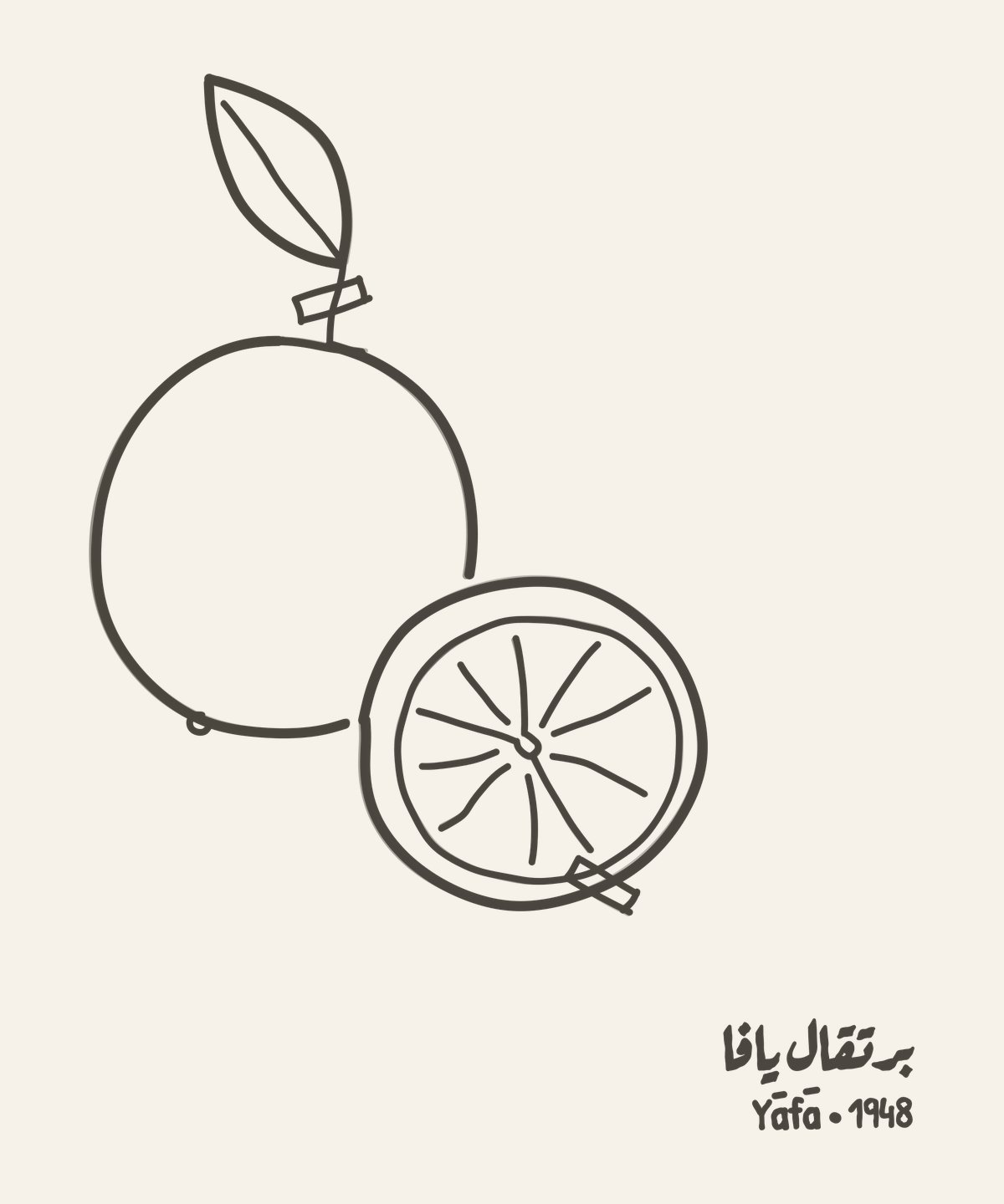 Burtuqāl Yāfā — a whole Shamouti orange with one leaf and a halved orange showing ten segments, drawn in one ink on a herbarium sheet with two paper-tape strips, the words برتقال يافا and the line «Yāfā · 1948»